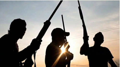 Two Immigration Officers Killed In Kadobe As Bandits Attack Village In Katsina - Politics
