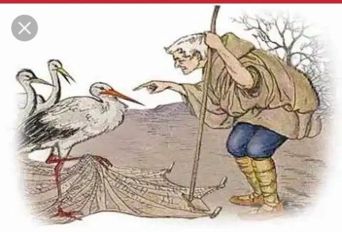 The Farmer And The Stork