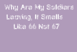Why Are My Soldiers Leaving, It Smells Like 66 Not 67