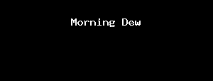 Morning Dew