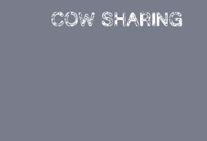 COW SHARING