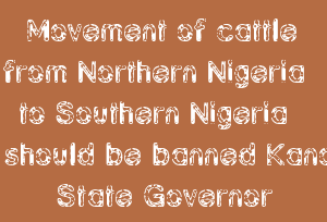Movement Of Cattle From Northern Nigeria To Southern Nigeria Should Be Banned Kano State Governor