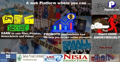 Earnings On Pejoweb