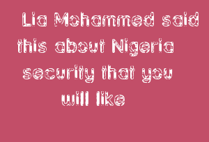 Lia Mohammed said this about Nigeria security that you will like
