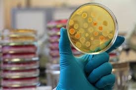 There is proof that the Corona virus COVID-19 is man made There is proof that the Corona virus COVID-19 is man made