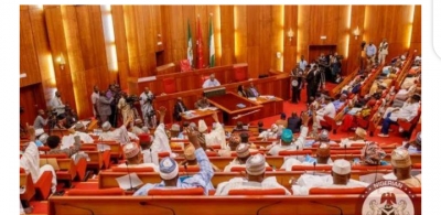 Why Are Senators Earning 29M Naira Per Month, And A Police Man Earning Less Than 60k In Nigeria?.