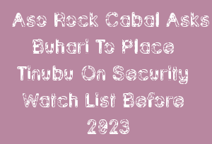 Aso Rock Cabal Asks Buhari To Place Tinubu On Security Watch List Before 2023