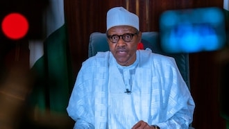The federal government says it never offered N100bn to herdsmen to stop kidnapping.