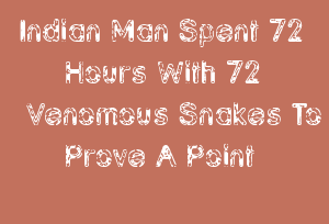 Indian Man Spent 72 Hours With 72 Venomous Snakes To Prove A Point
