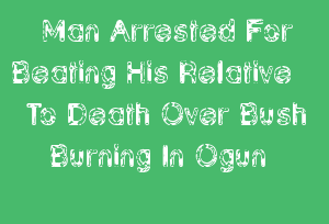 Man Arrested For Beating His Relative To Death Over Bush Burning In Ogun