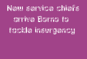 New Service Chiefs Arrive Borno To Tackle Insurgency