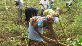 FG Set To Fund The Registrations For 250,000 MSMEs Especially Agric Businesses