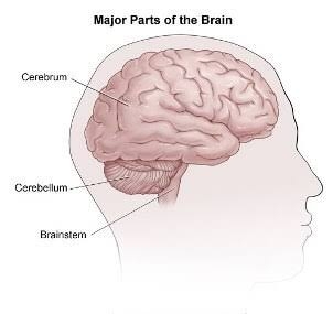 Harmful things we do unknowingly to the brain
