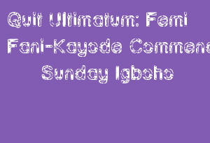 Quit Ultimatum: Femi Fani-Kayode Commends Sunday Igboho