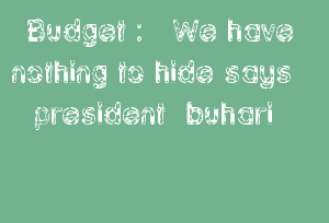 Budget : We Have Nothing To Hide Says President Buhari