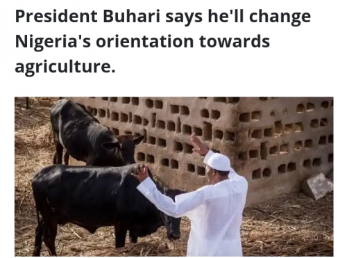 Buhari believes agriculture will solve Nigeria's economic problems
